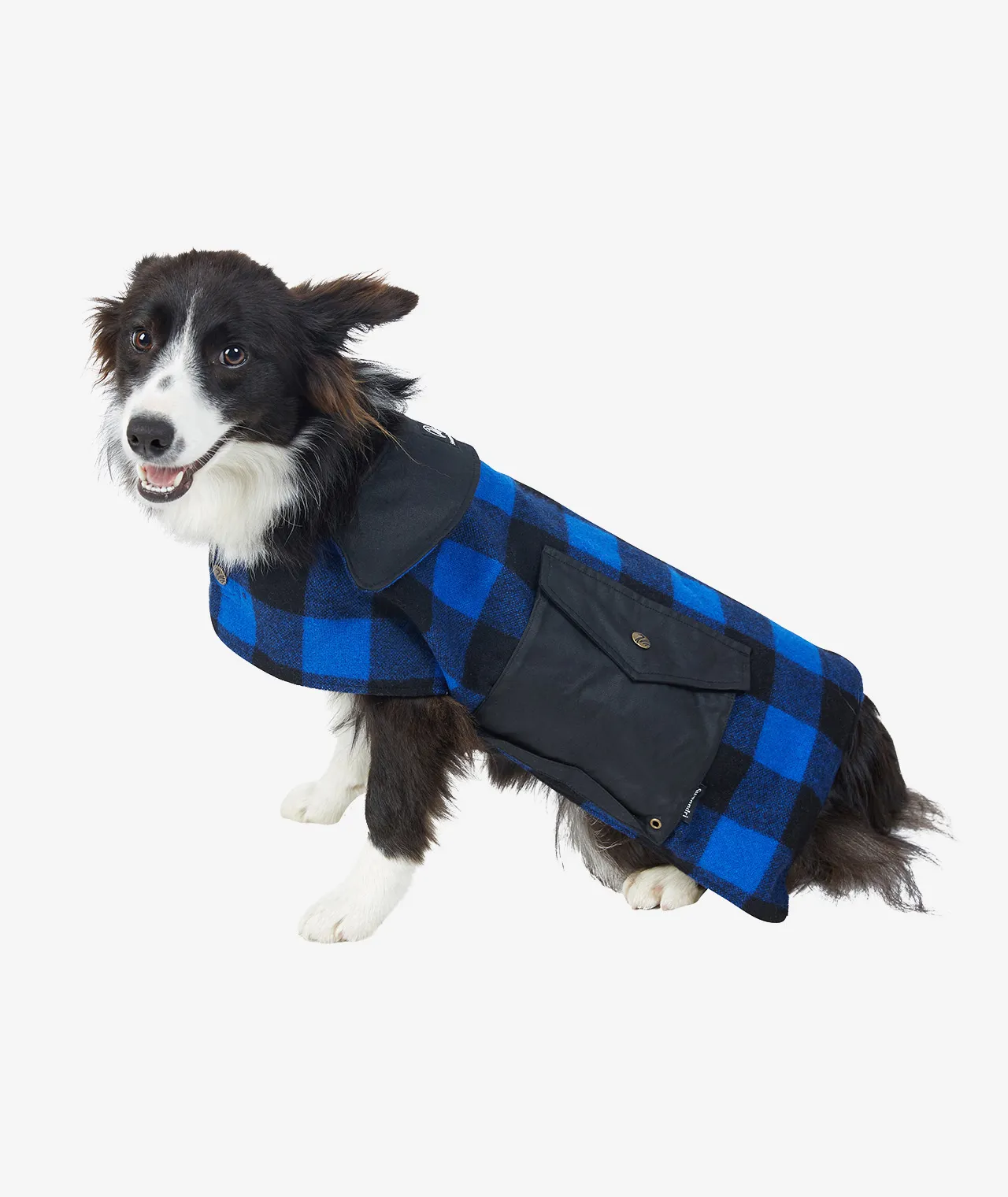 Buy Classic Wool Dog Coat in Blue/Black Check - Swanndri NZ