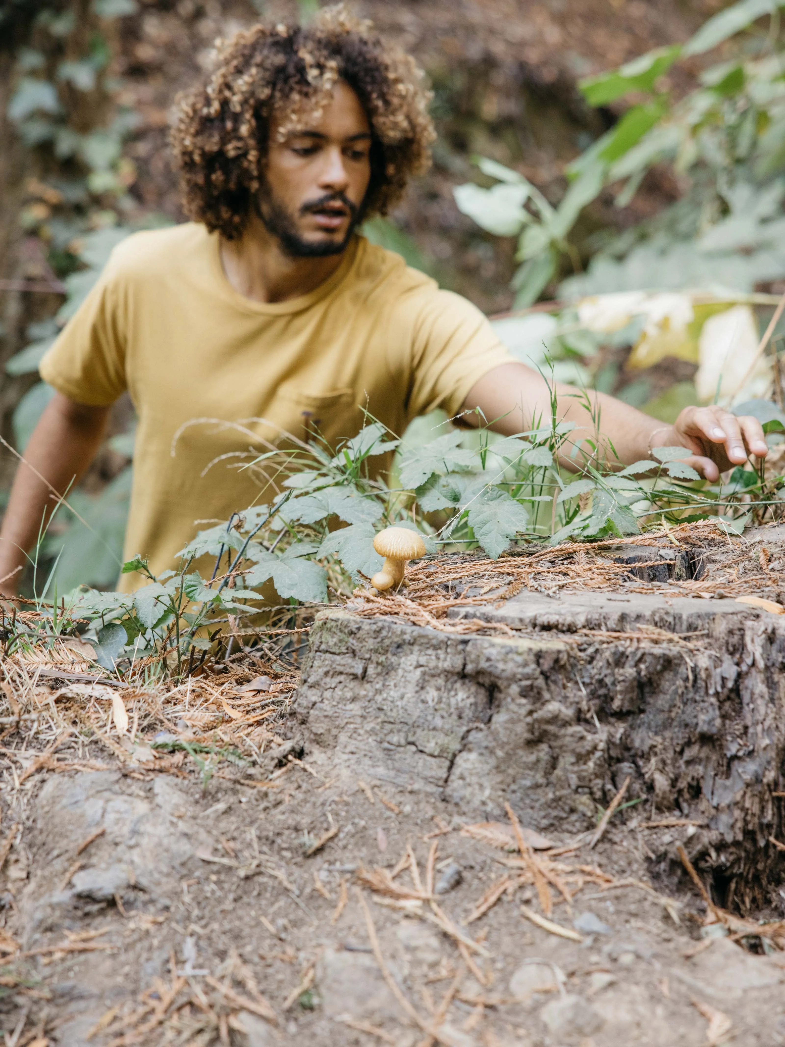 Mushroom Pocket Tee