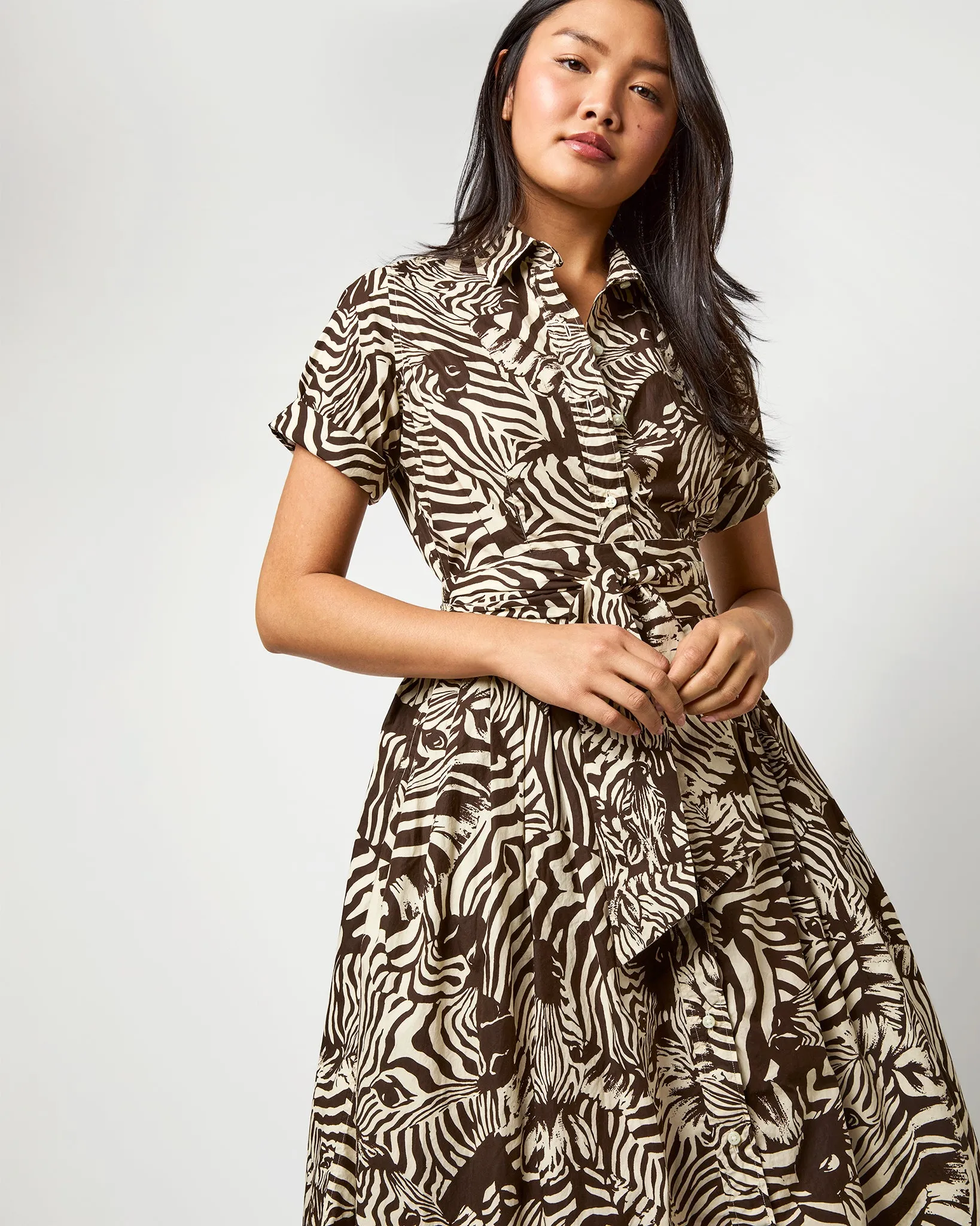 Short-Sleeved Classic Shirtwaist Maxi Dress in Ratti Brown/Cream Zebra Poplin